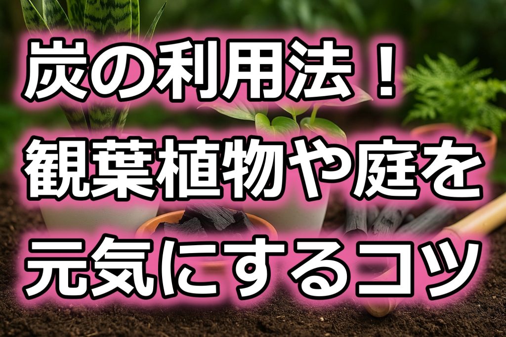 炭の利用法！ガーデニングで観葉植物や庭を元気にするコツ